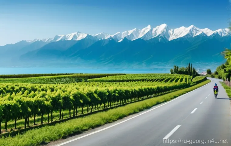 조지아 산악 자전거 트레일 - Majestic Kazbegi Mountain Biking Adventure**

A wide, panoramic shot captures the breathtaking grand...